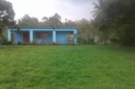 Development Land (Residential) for Sale in Bog Walk