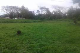 Development Land (Residential) for Sale in Bog Walk