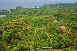 Development Land (Residential) for Sale in Port Antonio