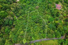 Development Land (Residential) for Sale in Port Antonio