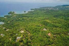 Development Land (Residential) for Sale in Port Antonio