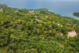 Development Land (Residential) for Sale in Port Antonio