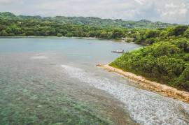 Development Land (Residential) for Sale in Port Antonio