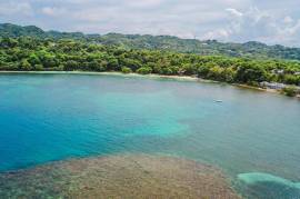 Development Land (Residential) for Sale in Port Antonio