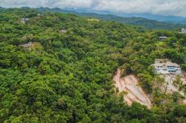 Development Land (Residential) for Sale in Port Antonio