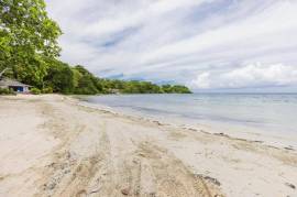 Development Land (Residential) for Sale in Port Antonio