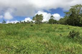 Development Land (Residential) for Sale in Bamboo