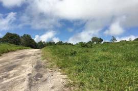 Development Land (Residential) for Sale in Bamboo