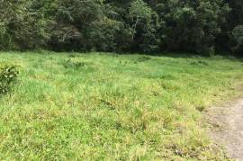 Development Land (Residential) for Sale in Bamboo