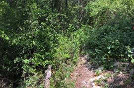 Development Land (Residential) for Sale in Treasure Beach