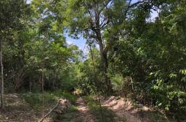 Development Land (Residential) for Sale in Treasure Beach