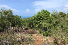 Development Land (Residential) for Sale in Treasure Beach