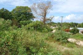 Development Land (Residential) for Sale in Falmouth