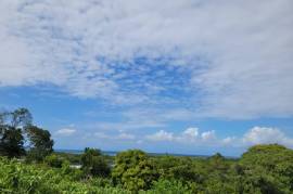 Development Land (Residential) for Sale in Falmouth