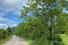 Development Land (Residential) for Sale in Hope Bay