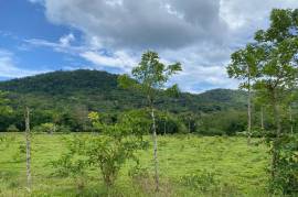 Development Land (Residential) for Sale in Hope Bay