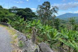 Development Land (Residential) for Sale in Hope Bay