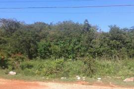 Development Land (Residential) for Sale in Spanish Town