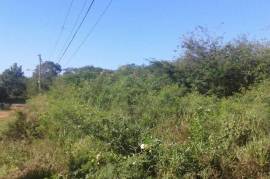 Development Land (Residential) for Sale in Spanish Town