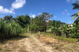 Development Land (Residential) for Sale in Glengoffe