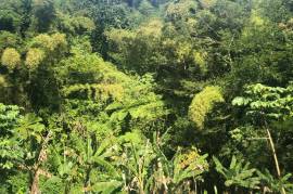 Development Land (Residential) for Sale in Glengoffe