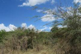 Development Land (Residential) for Sale in Spanish Town