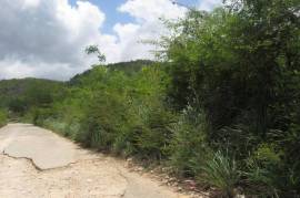 Development Land (Residential) for Sale in Spanish Town