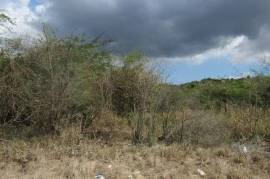 Development Land (Residential) for Sale in Spanish Town