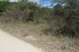 Development Land (Residential) for Sale in Spanish Town