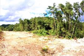 Development Land (Residential) for Sale in Sligoville