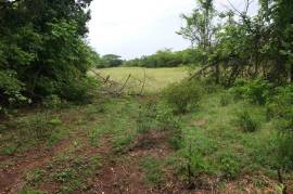 Development Land (Residential) for Sale in Wakefield