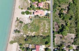 Development Land (Residential) for Sale in Black River