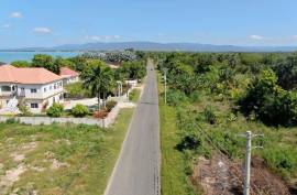 Development Land (Residential) for Sale in Black River