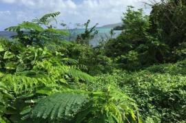 Development Land (Residential) for Sale in Boscobel