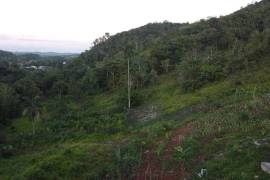 Development Land (Residential) for Sale in Ocho Rios