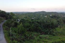 Development Land (Residential) for Sale in Ocho Rios