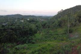 Development Land (Residential) for Sale in Ocho Rios