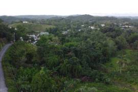 Development Land (Residential) for Sale in Ocho Rios