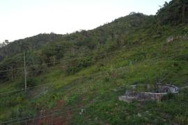 Development Land (Residential) for Sale in Ocho Rios