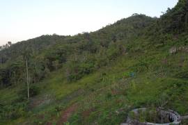 Development Land (Residential) for Sale in Ocho Rios