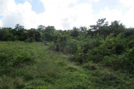 Development Land (Residential) for Sale in Oracabessa