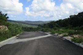 Development Land (Residential) for Sale in Oracabessa