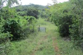 Development Land (Residential) for Sale in Oracabessa