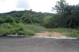 Development Land (Residential) for Sale in Oracabessa