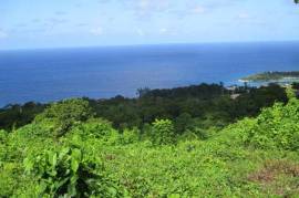 Development Land (Residential) for Sale in Oracabessa