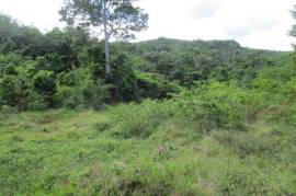 Development Land (Residential) for Sale in Oracabessa