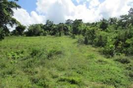 Development Land (Residential) for Sale in Oracabessa