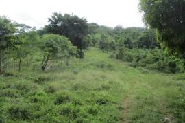 Development Land (Residential) for Sale in Oracabessa