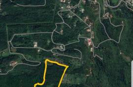 Development Land (Residential) for Sale in Oracabessa