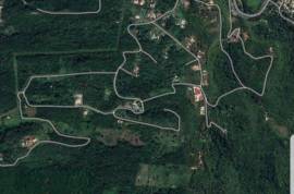 Development Land (Residential) for Sale in Oracabessa